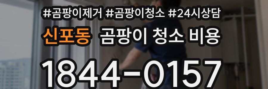 신포동 곰팡이 청소 비용