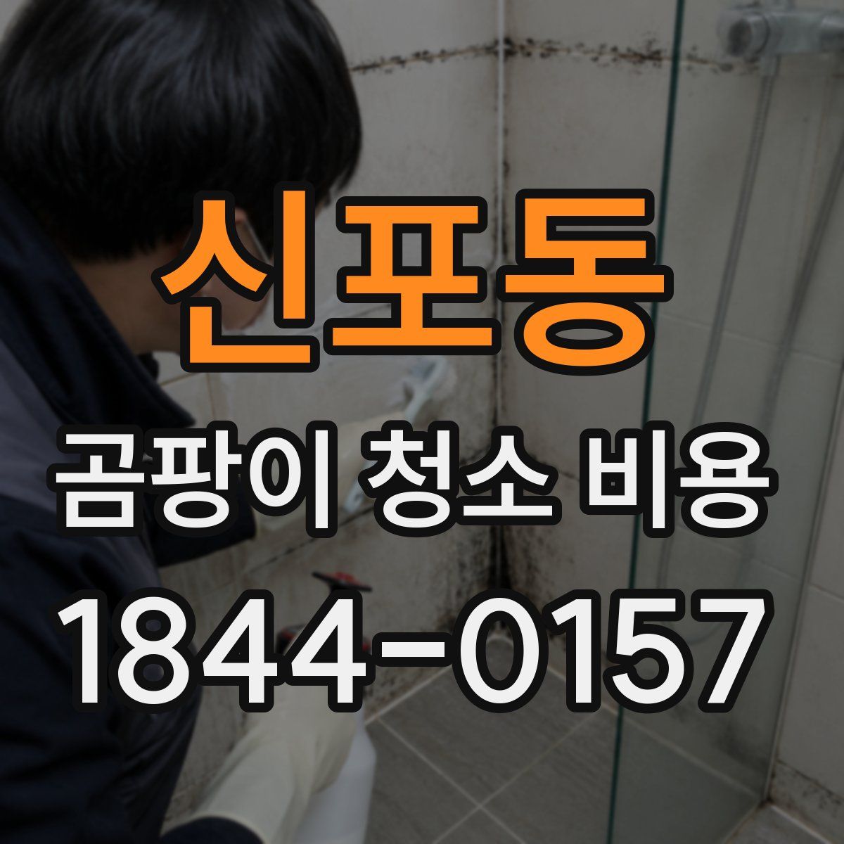 신포동 곰팡이 청소 비용