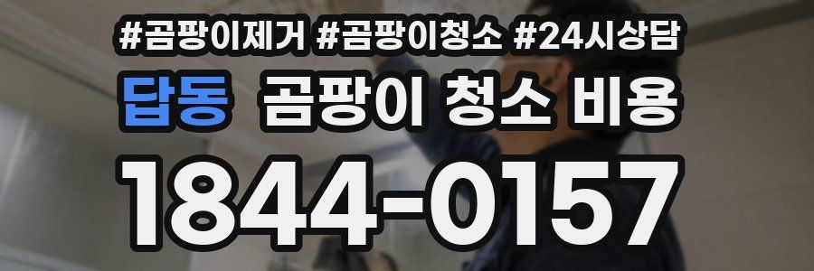 답동 곰팡이 청소 비용