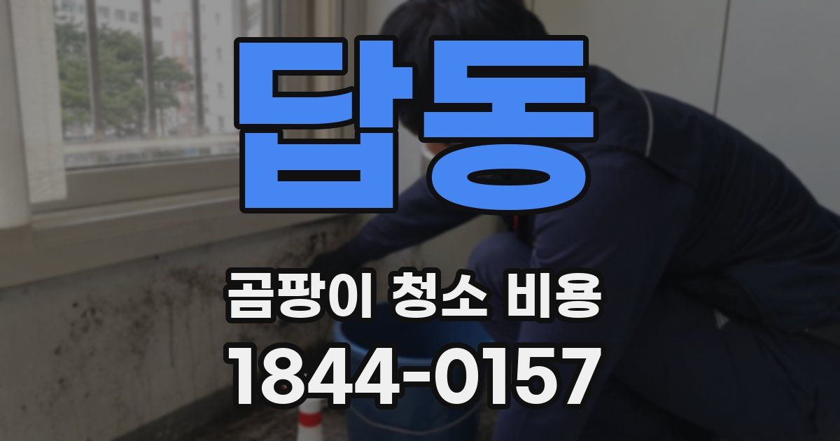 답동 곰팡이 청소 비용