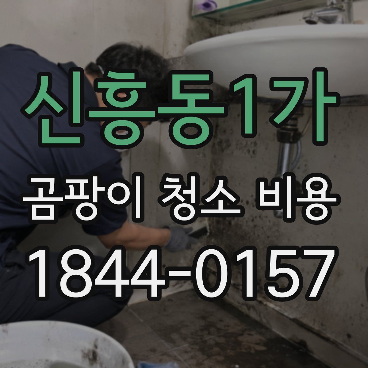 신흥동1가 곰팡이 청소 비용