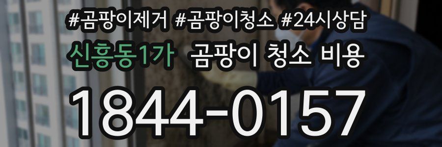 신흥동1가 곰팡이 청소 비용