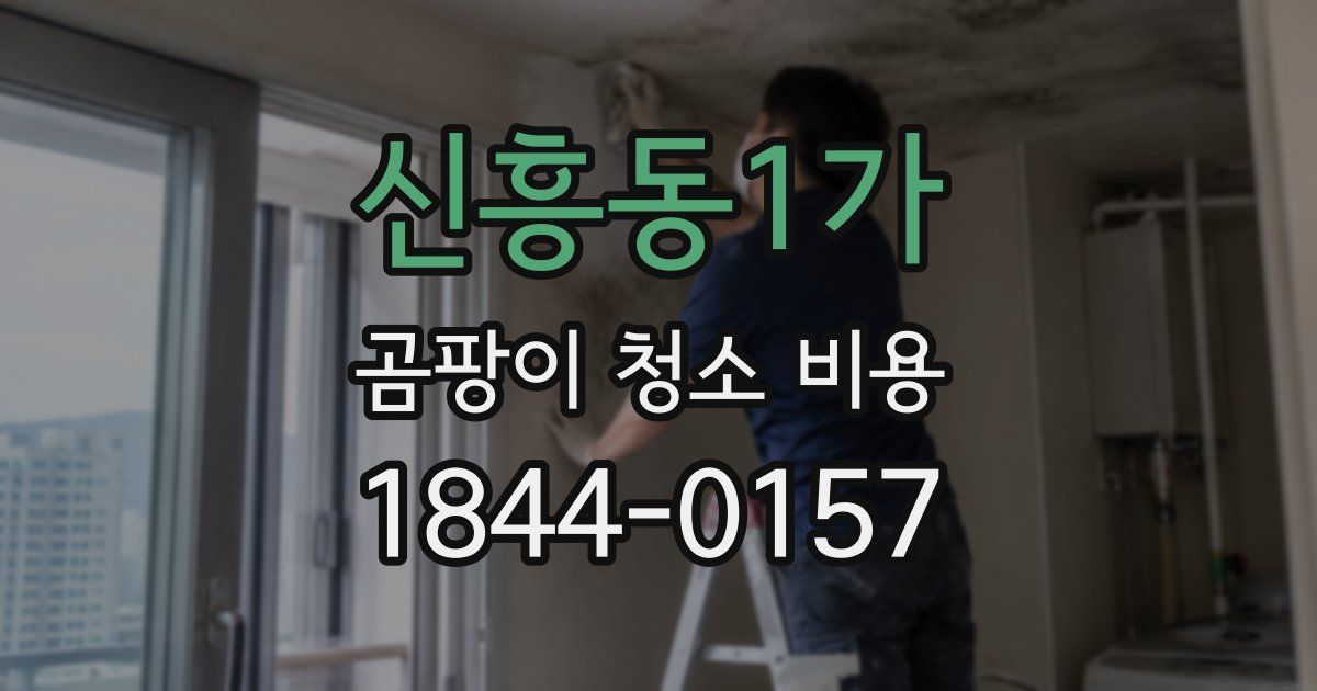 신흥동1가 곰팡이 청소 비용
