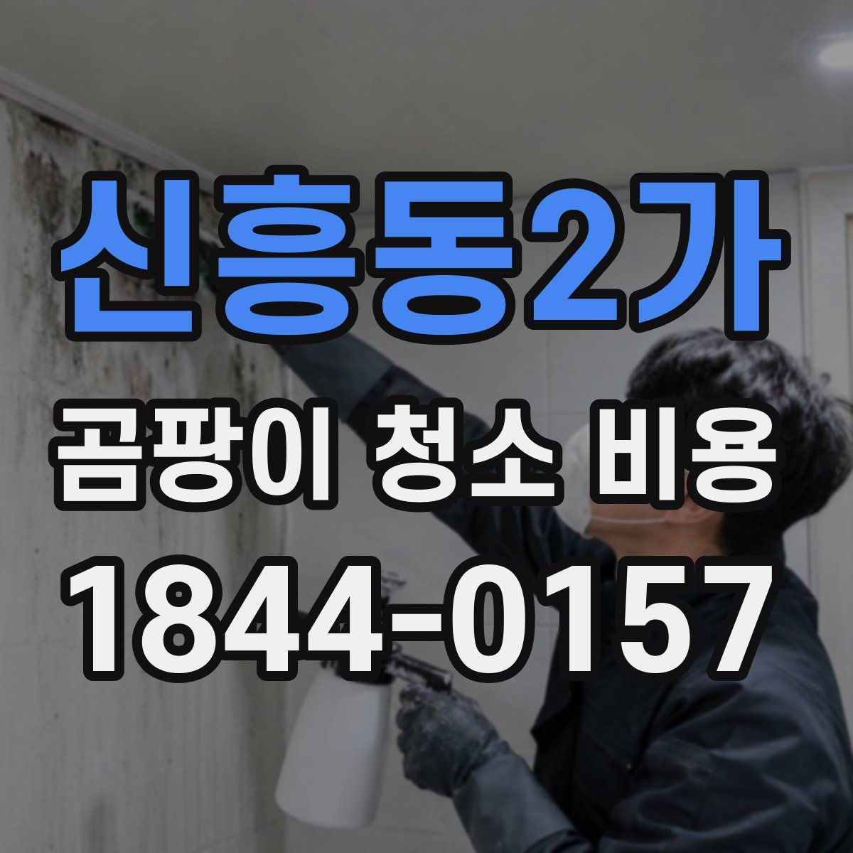 신흥동2가 곰팡이 청소 비용