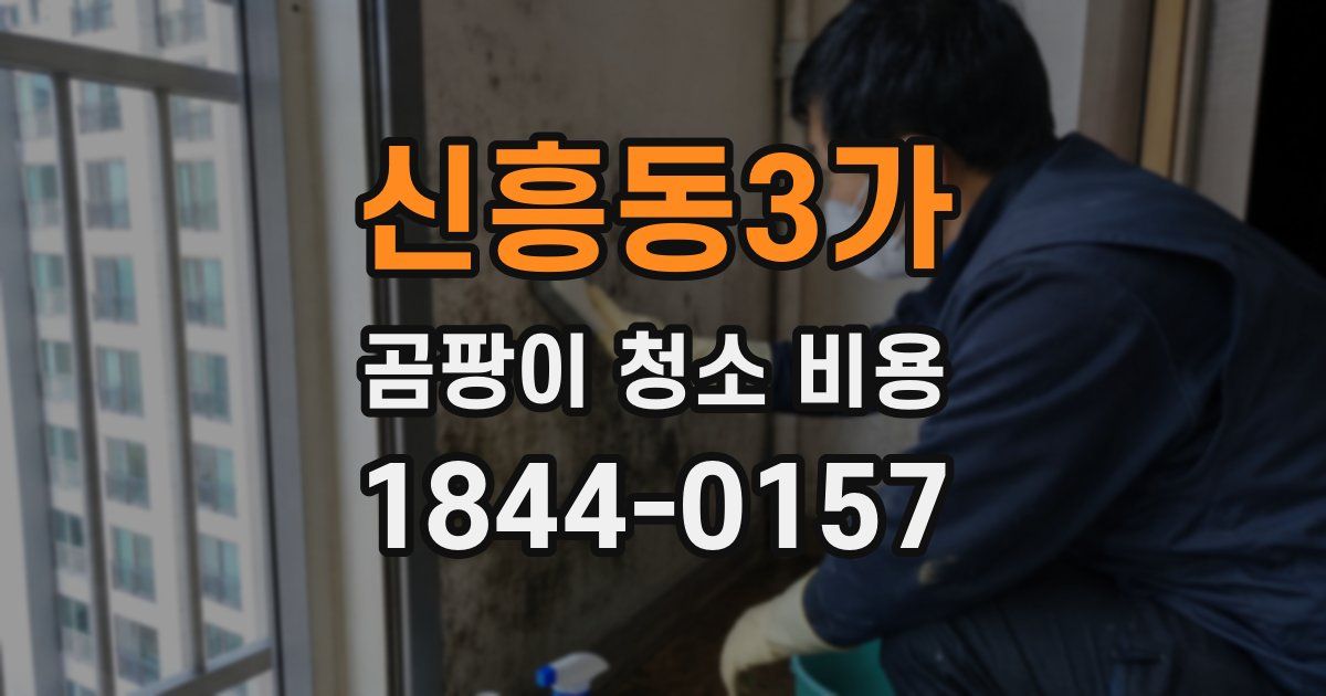 신흥동3가 곰팡이 청소 비용