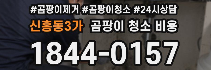 신흥동3가 곰팡이 청소 비용