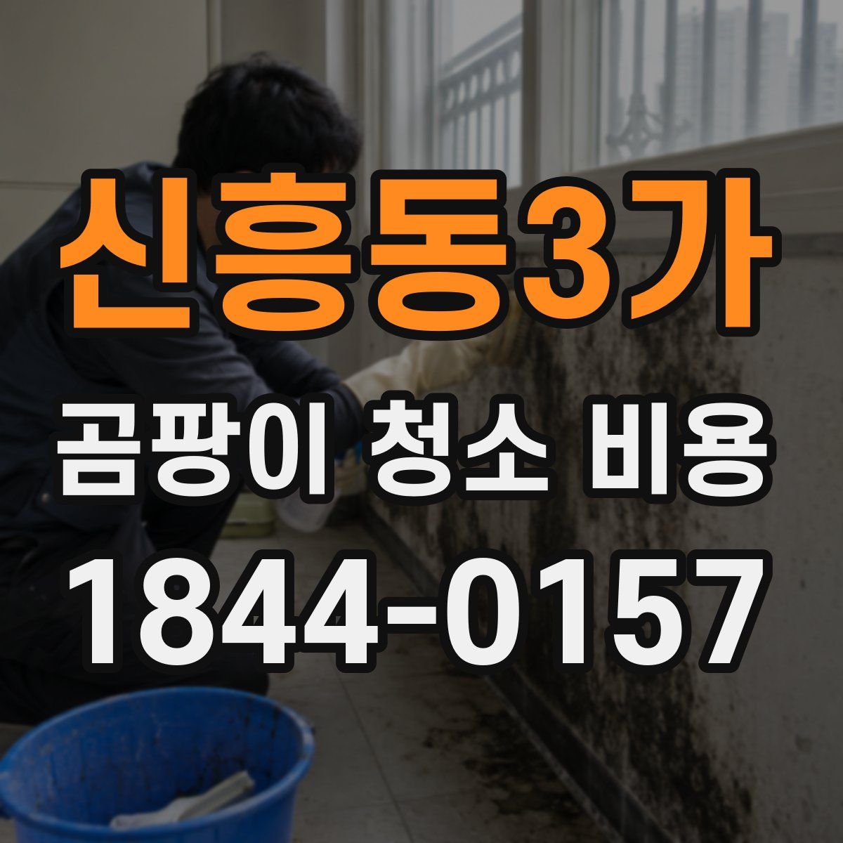 신흥동3가 곰팡이 청소 비용