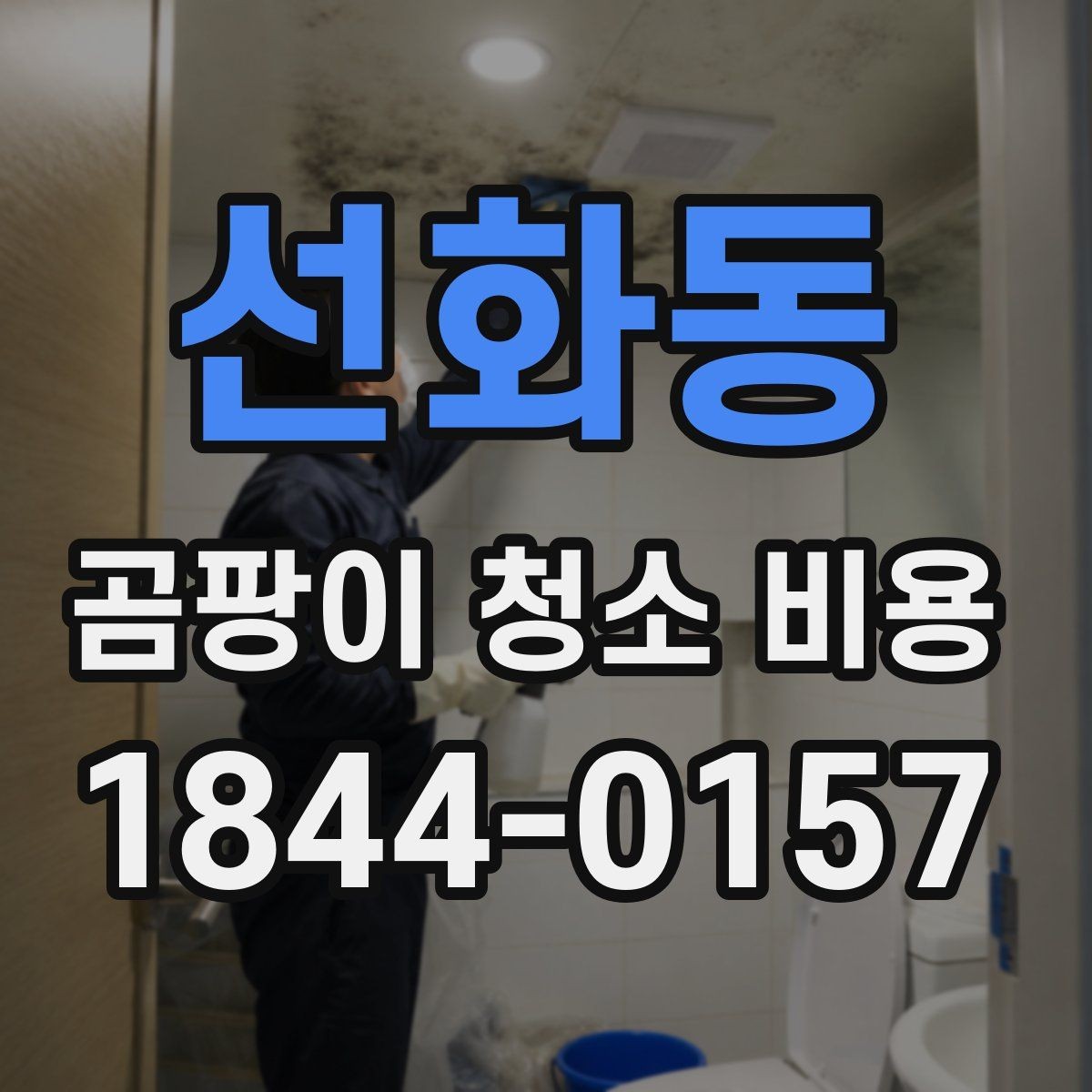선화동 곰팡이 청소 비용 약품 처리와 마감 청소가 포함되는지 확인
