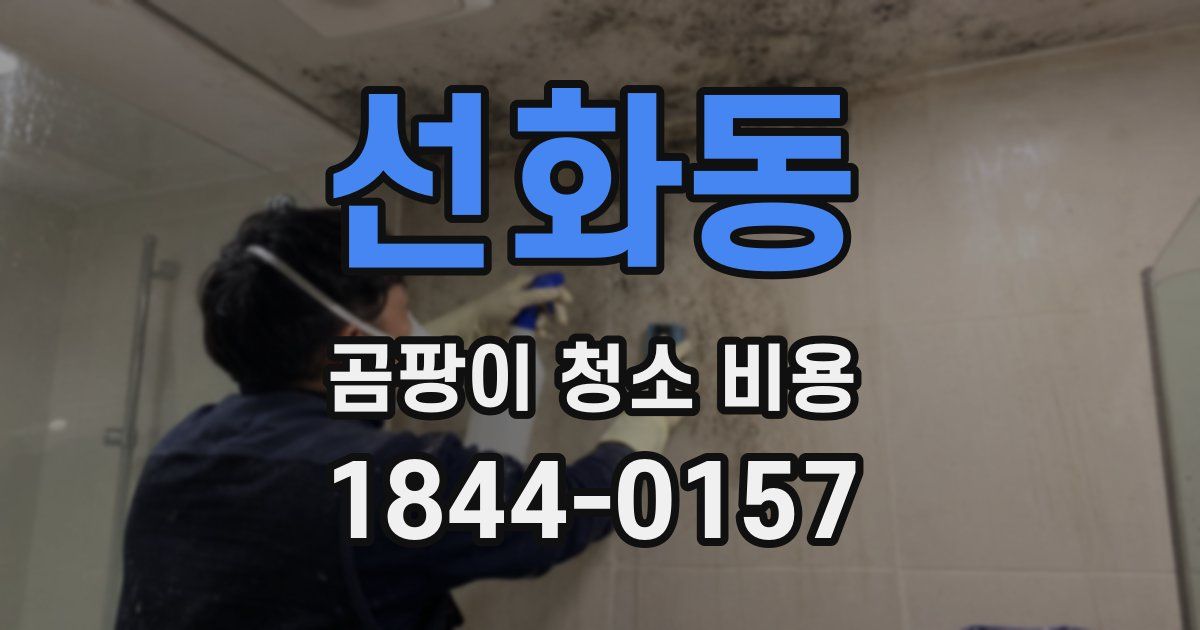 선화동 곰팡이 청소 비용