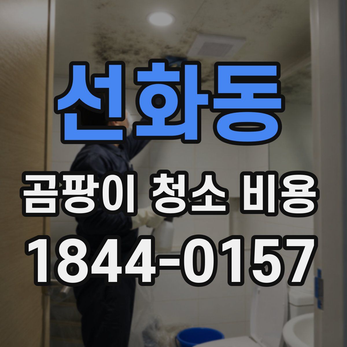 선화동 곰팡이 청소 비용