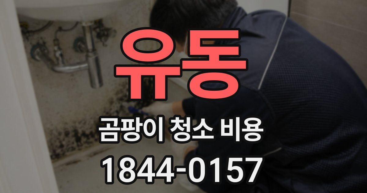 유동 곰팡이 청소 비용