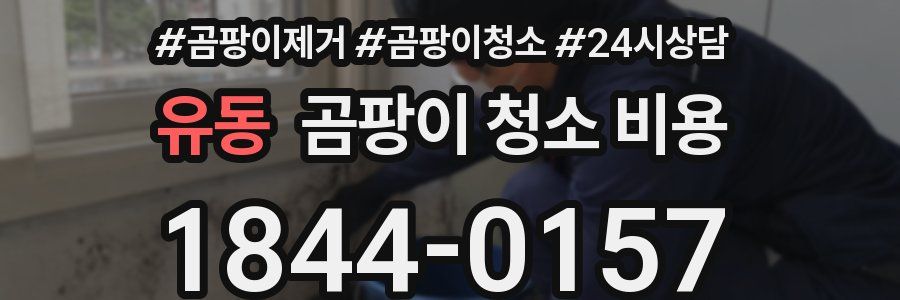 유동 곰팡이 청소 비용