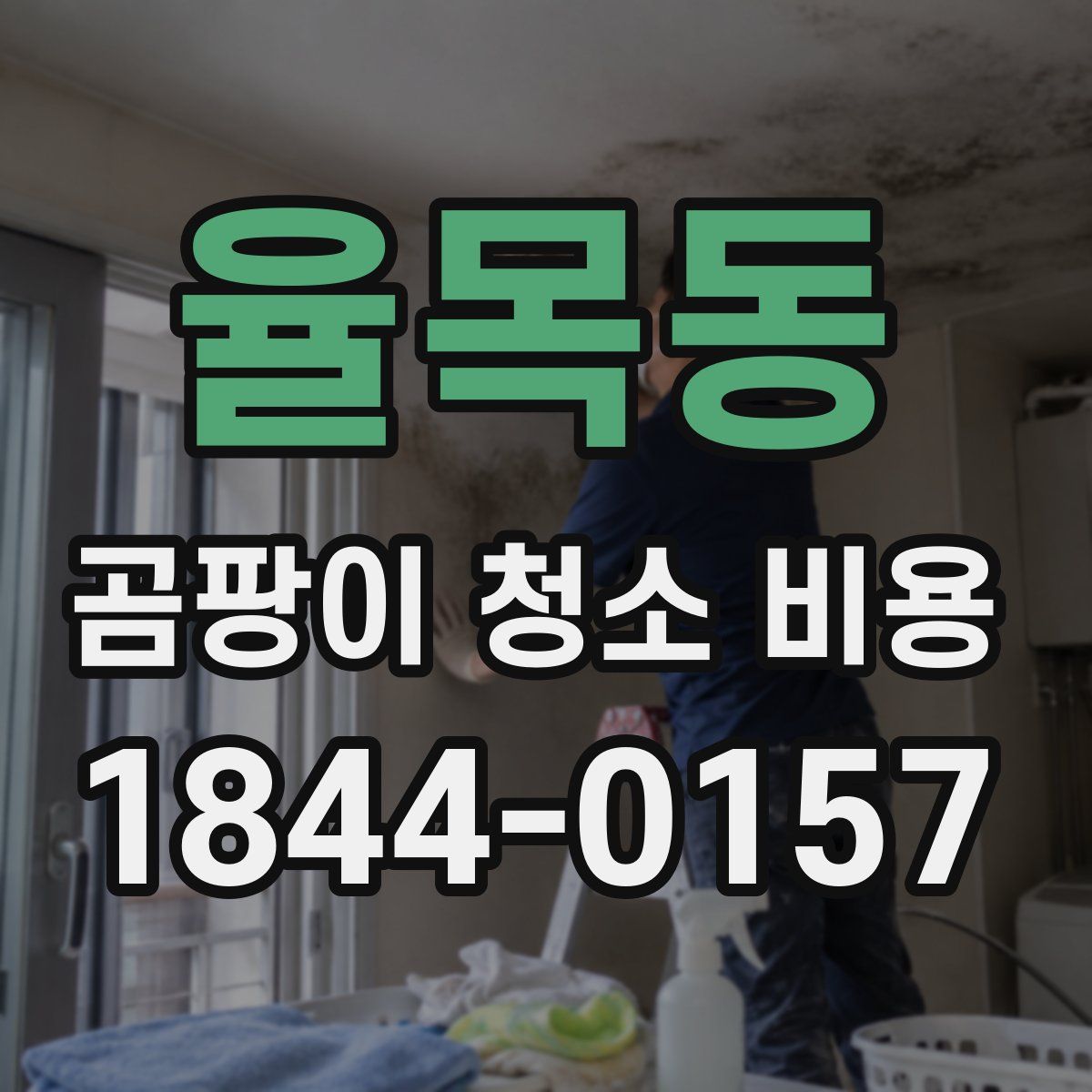 율목동 곰팡이 청소 비용