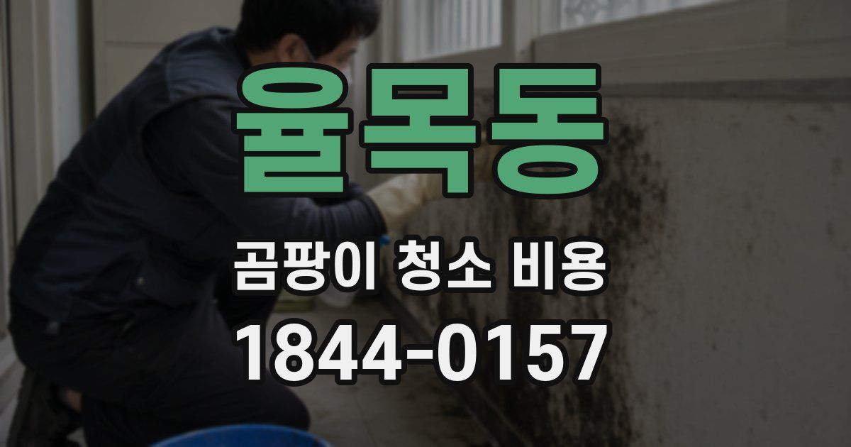 율목동 곰팡이 청소 비용