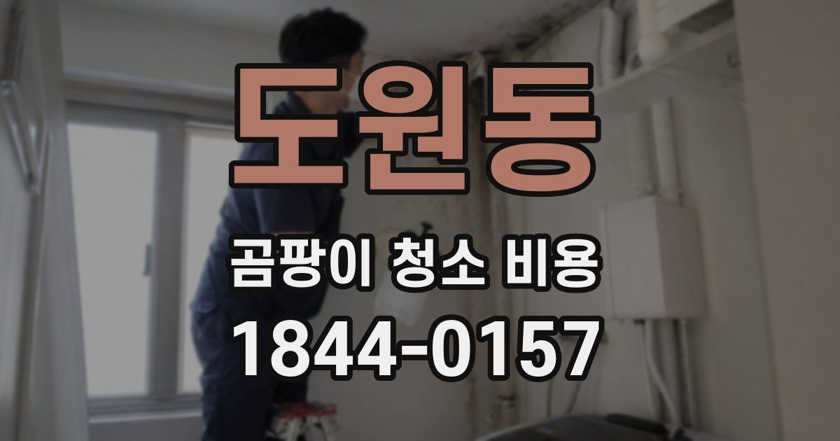 도원동 곰팡이 청소 비용