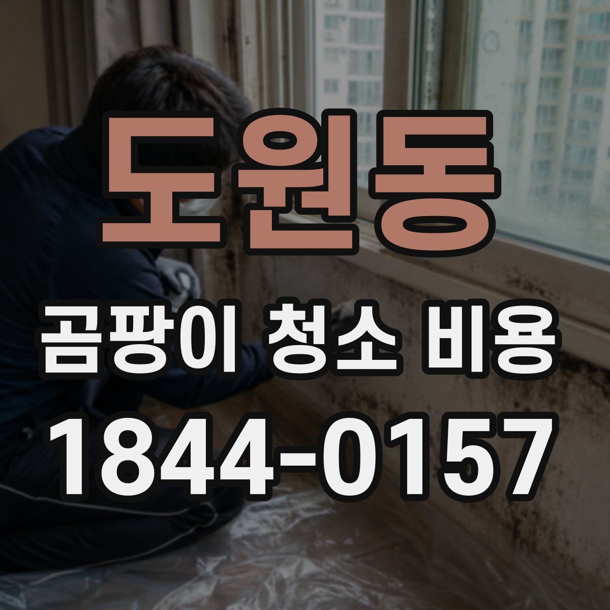 도원동 곰팡이 청소 비용