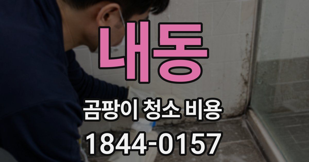 내동 곰팡이 청소 비용