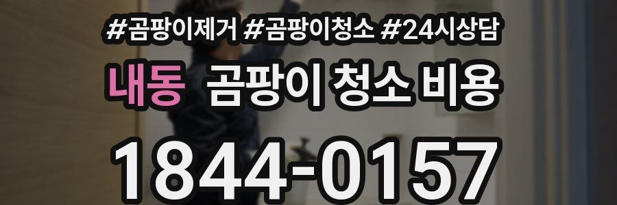 내동 곰팡이 청소 비용