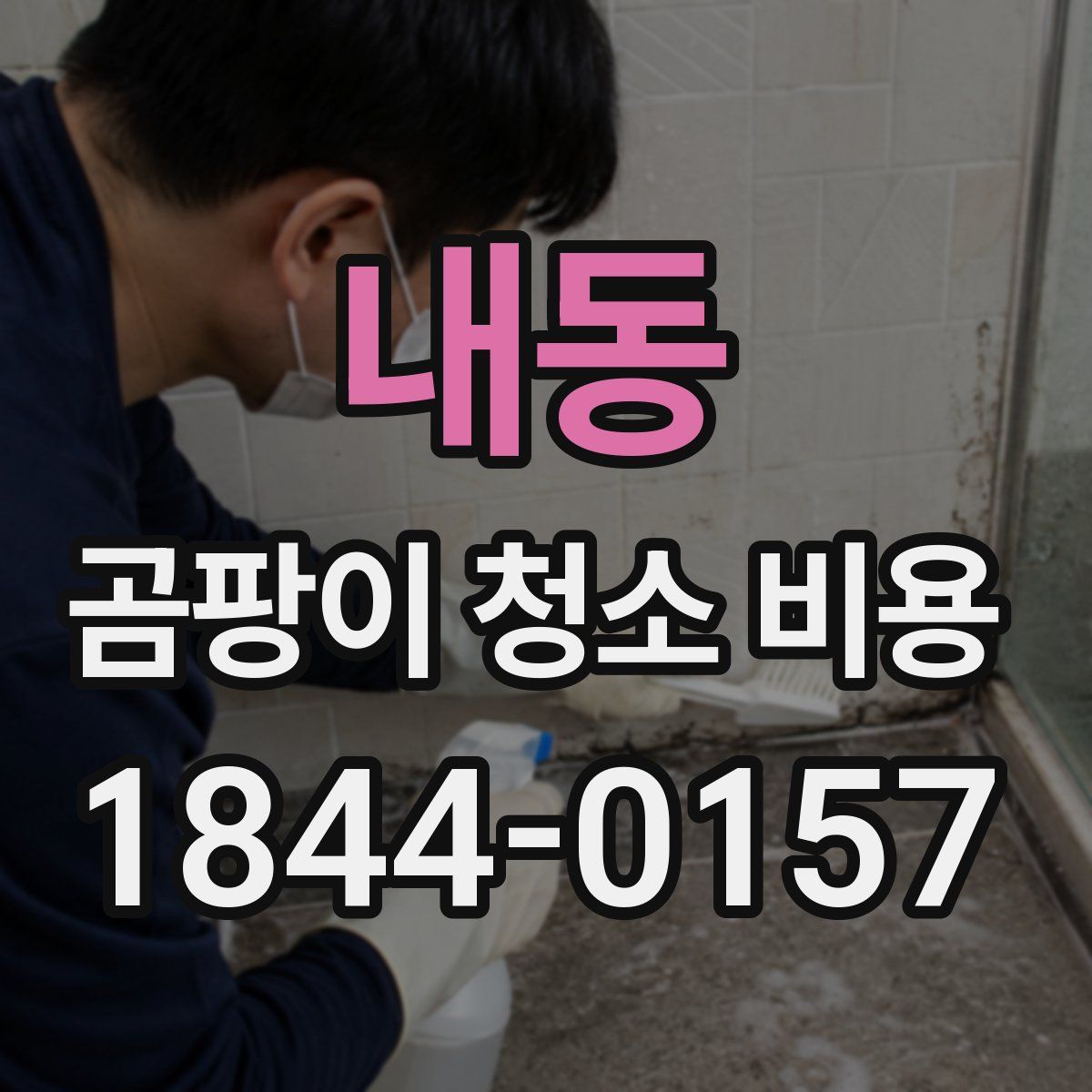 내동 곰팡이 청소 비용