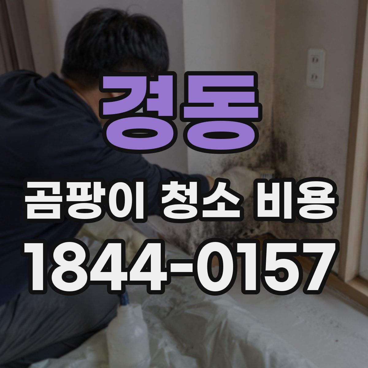 경동 곰팡이 청소 비용