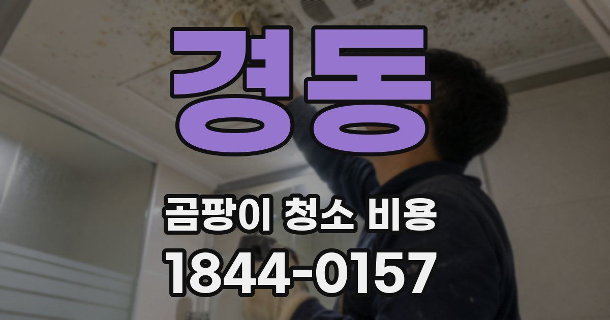 경동 곰팡이 청소 비용