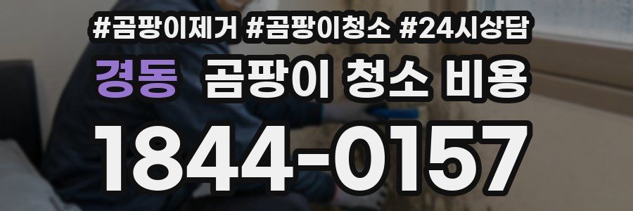 경동 곰팡이 청소 비용
