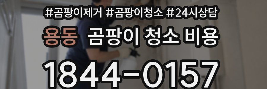 용동 곰팡이 청소 비용