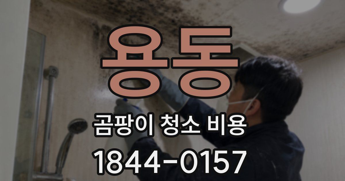 용동 곰팡이 청소 비용