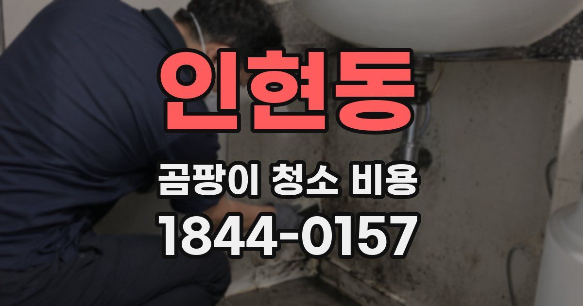 인현동 곰팡이 청소 비용