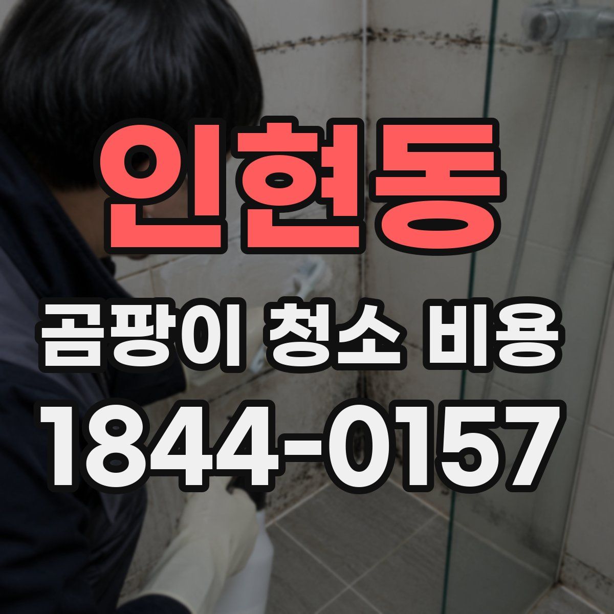 인현동 곰팡이 청소 비용