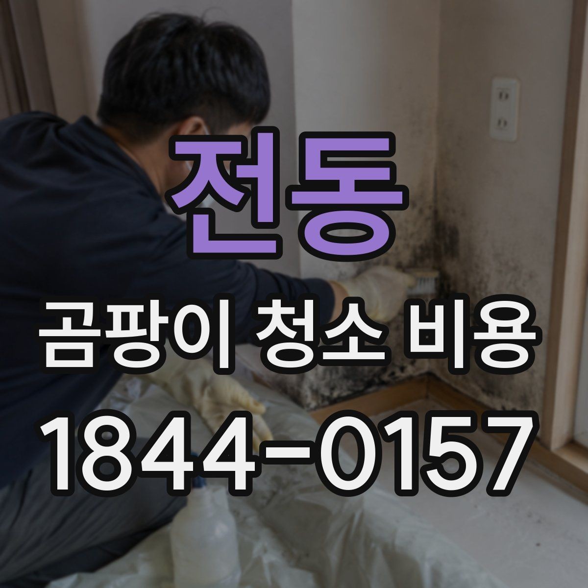 전동 곰팡이 청소 비용 벽지 오염과 실리콘 재오염을 나눠 보는 이유