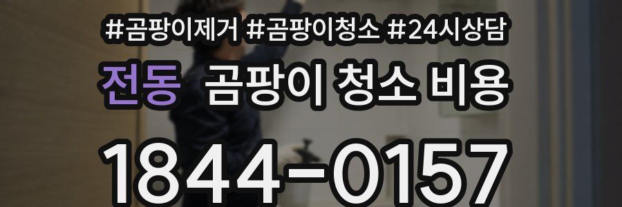 전동 곰팡이 청소 비용