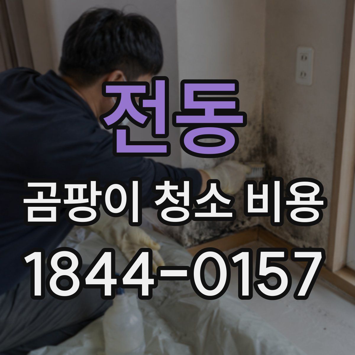 전동 곰팡이 청소 비용