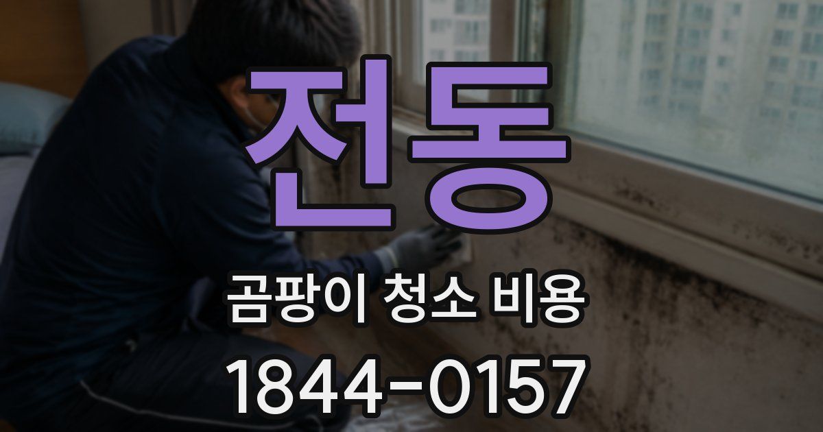 전동 곰팡이 청소 비용