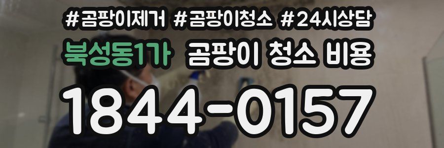 북성동1가 곰팡이 청소 비용