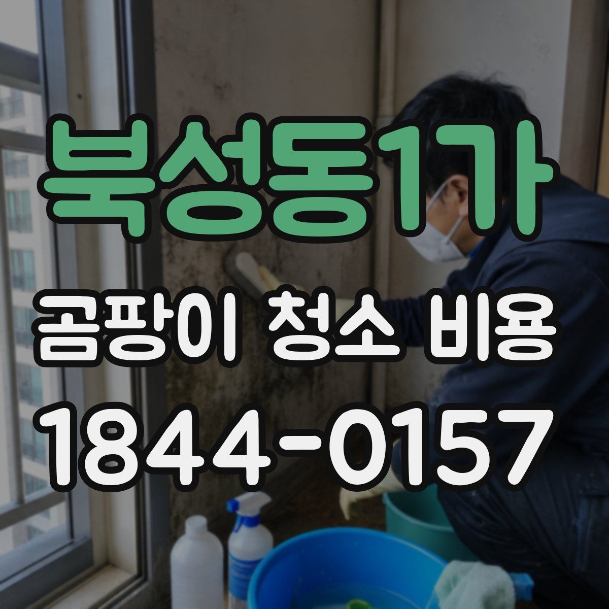 북성동1가 곰팡이 청소 비용