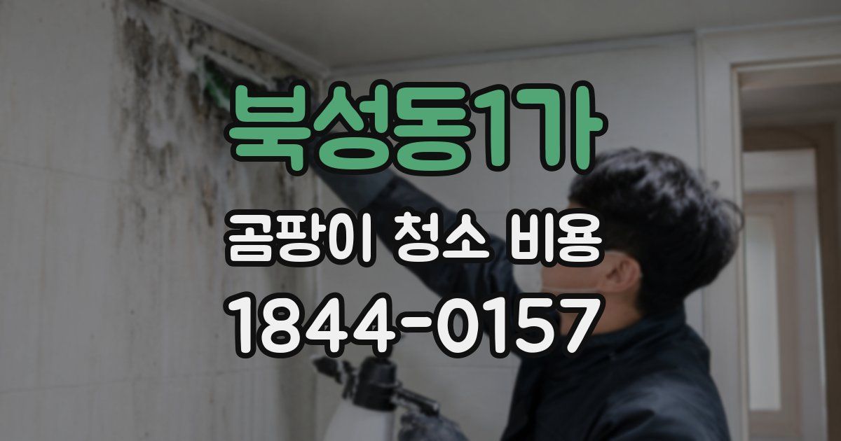 북성동1가 곰팡이 청소 비용