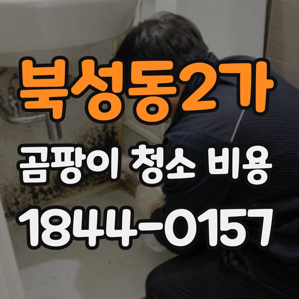 북성동2가 곰팡이 청소 비용