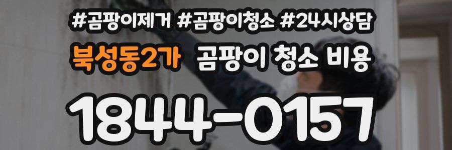 북성동2가 곰팡이 청소 비용
