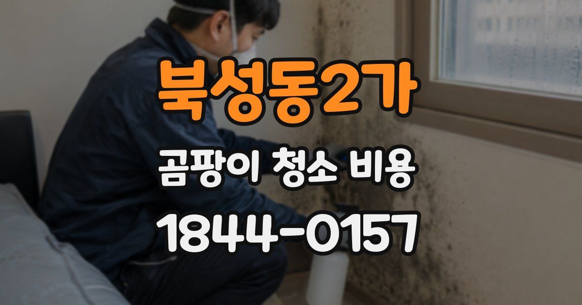 북성동2가 곰팡이 청소 비용