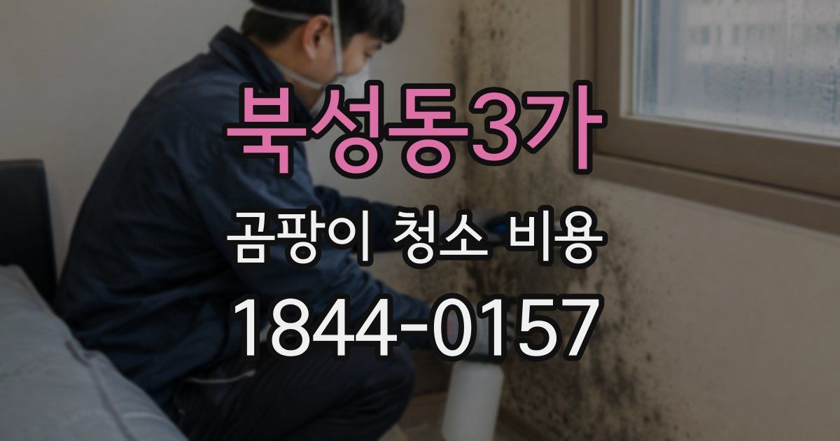북성동3가 곰팡이 청소 비용