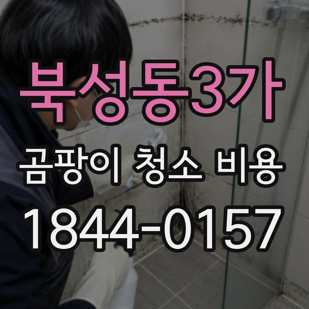 북성동3가 곰팡이 청소 비용