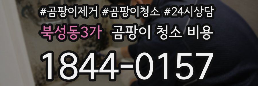 북성동3가 곰팡이 청소 비용
