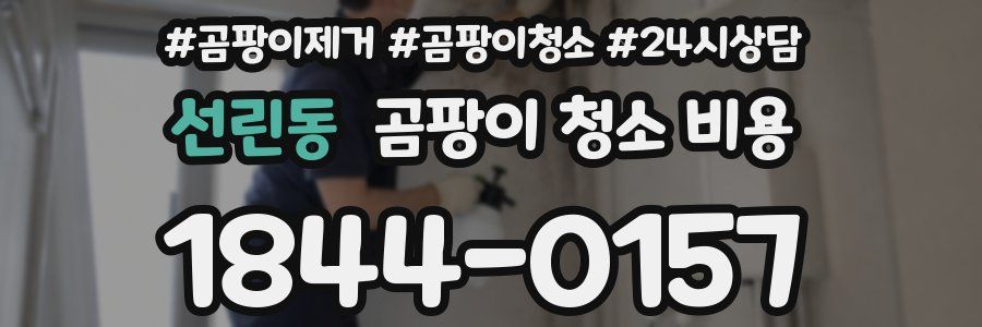 선린동 곰팡이 청소 비용