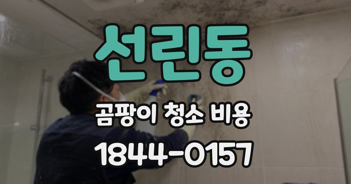 선린동 곰팡이 청소 비용