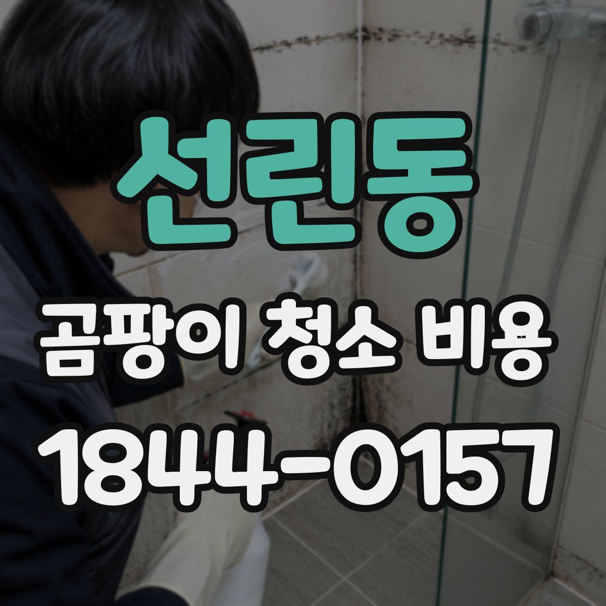 선린동 곰팡이 청소 비용
