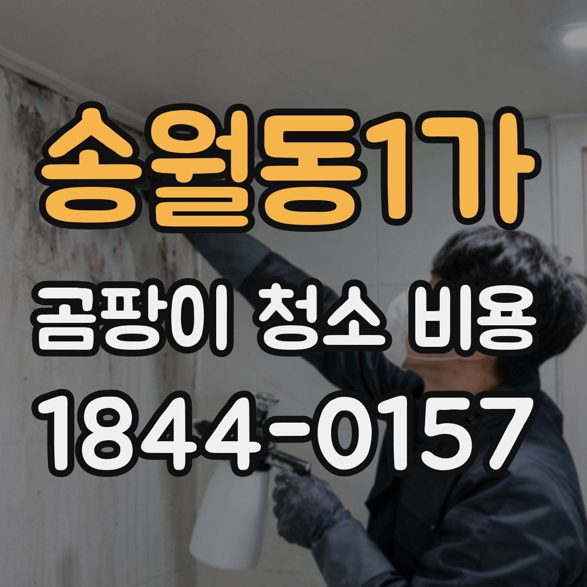 송월동1가 곰팡이 청소 비용 아이 방 위생을 함께 고려할 때