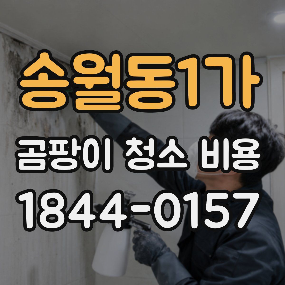 송월동1가 곰팡이 청소 비용