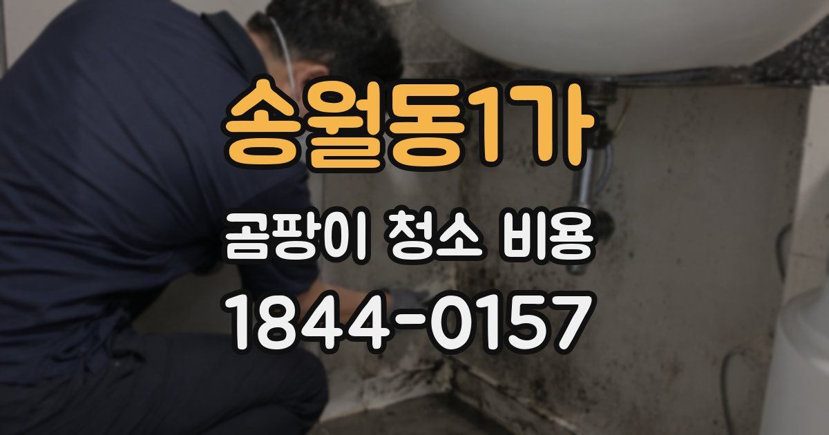 송월동1가 곰팡이 청소 비용