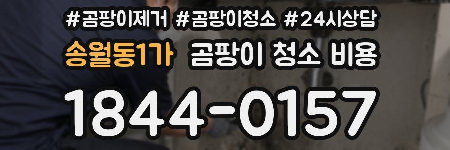 송월동1가 곰팡이 청소 비용
